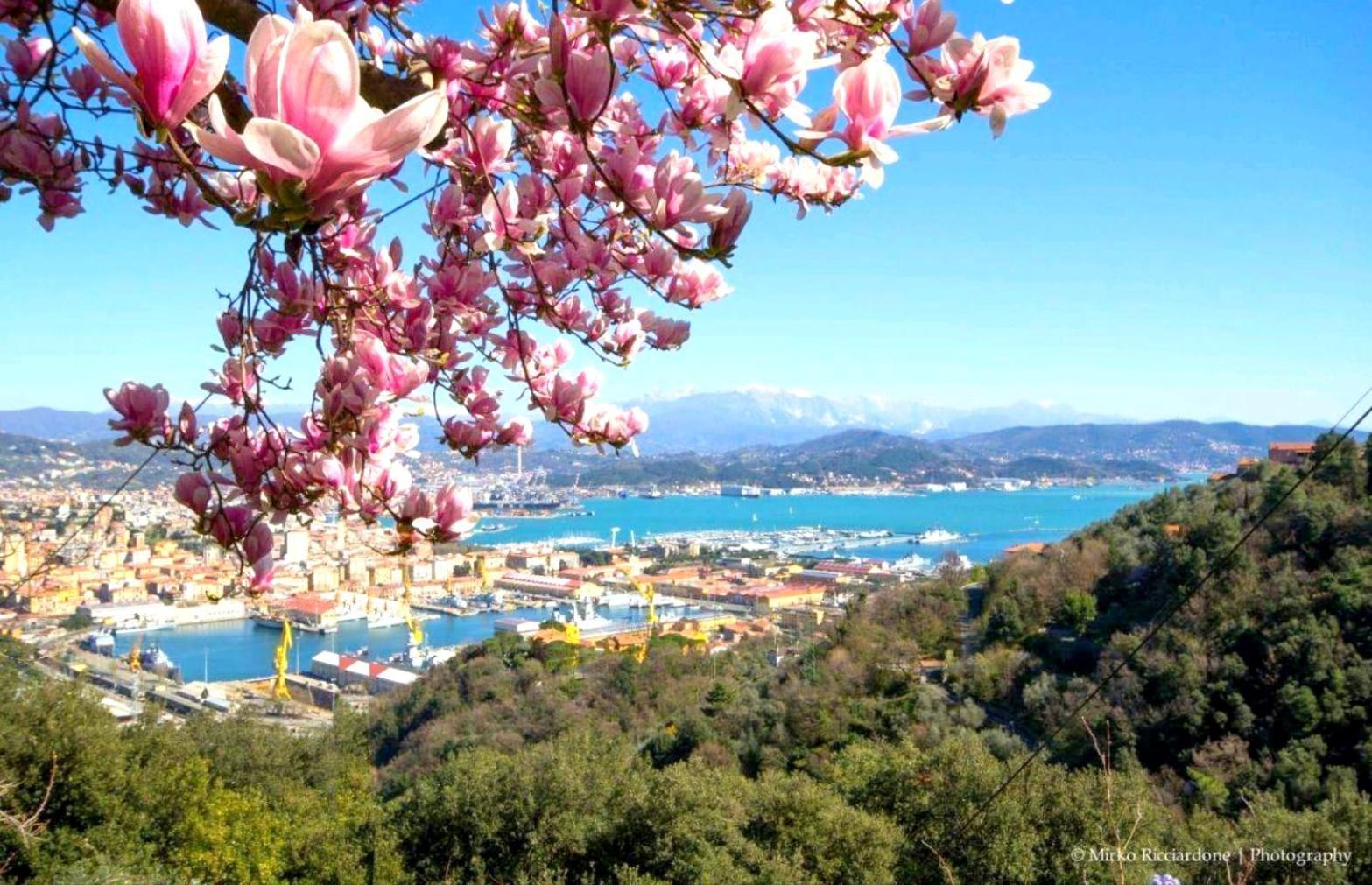 Casa Tartaruga Villa La Spezia Kültér fotó